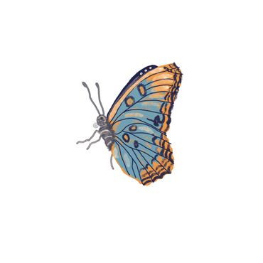 Surface pattern design, dolce Vita, pattern, Butterflies sustainable, interiors, licensing,