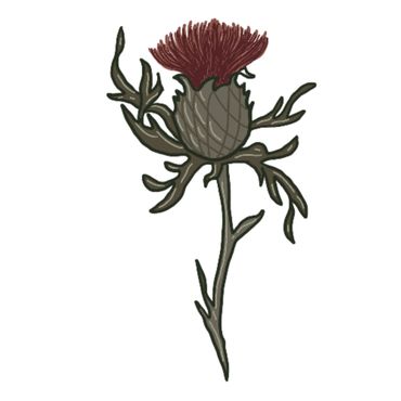 Surface pattern design, highland retreat, pattern, thistle, sustainable, licensing, flora, fauna,