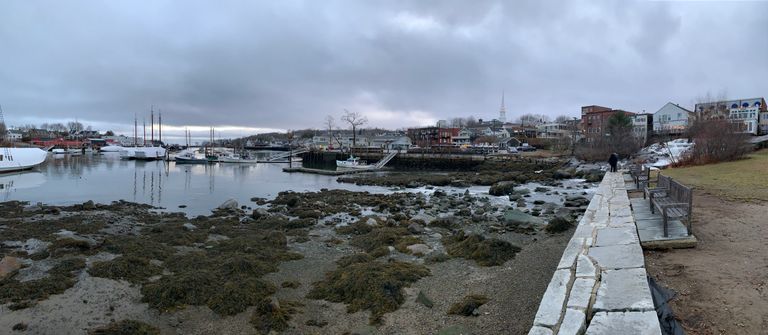 image46