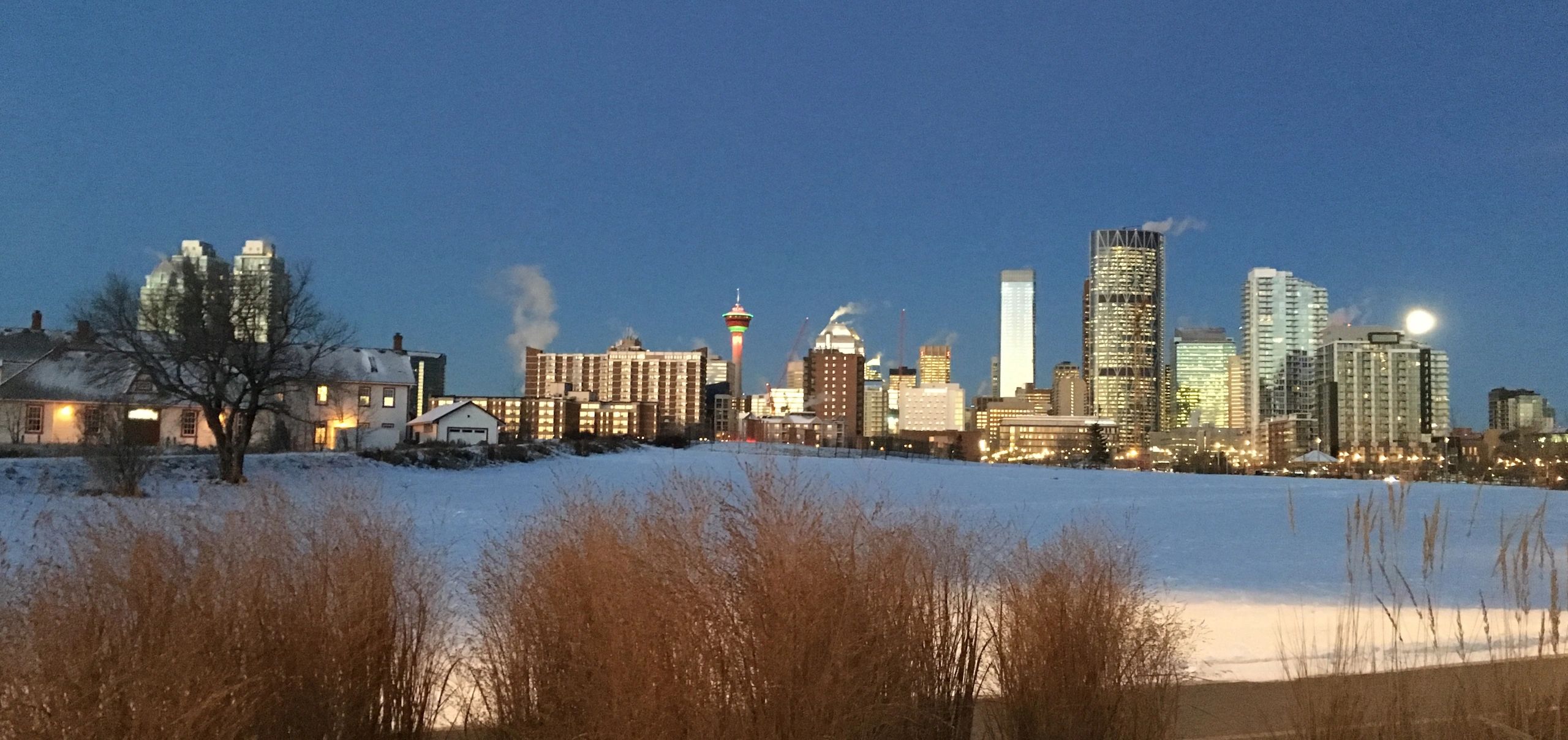 WHAT YOU CAN DO Jack Long Foundation