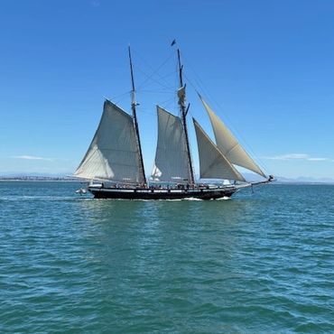 A classic schooner with white sails gliding on calm blue water under a clear sky.