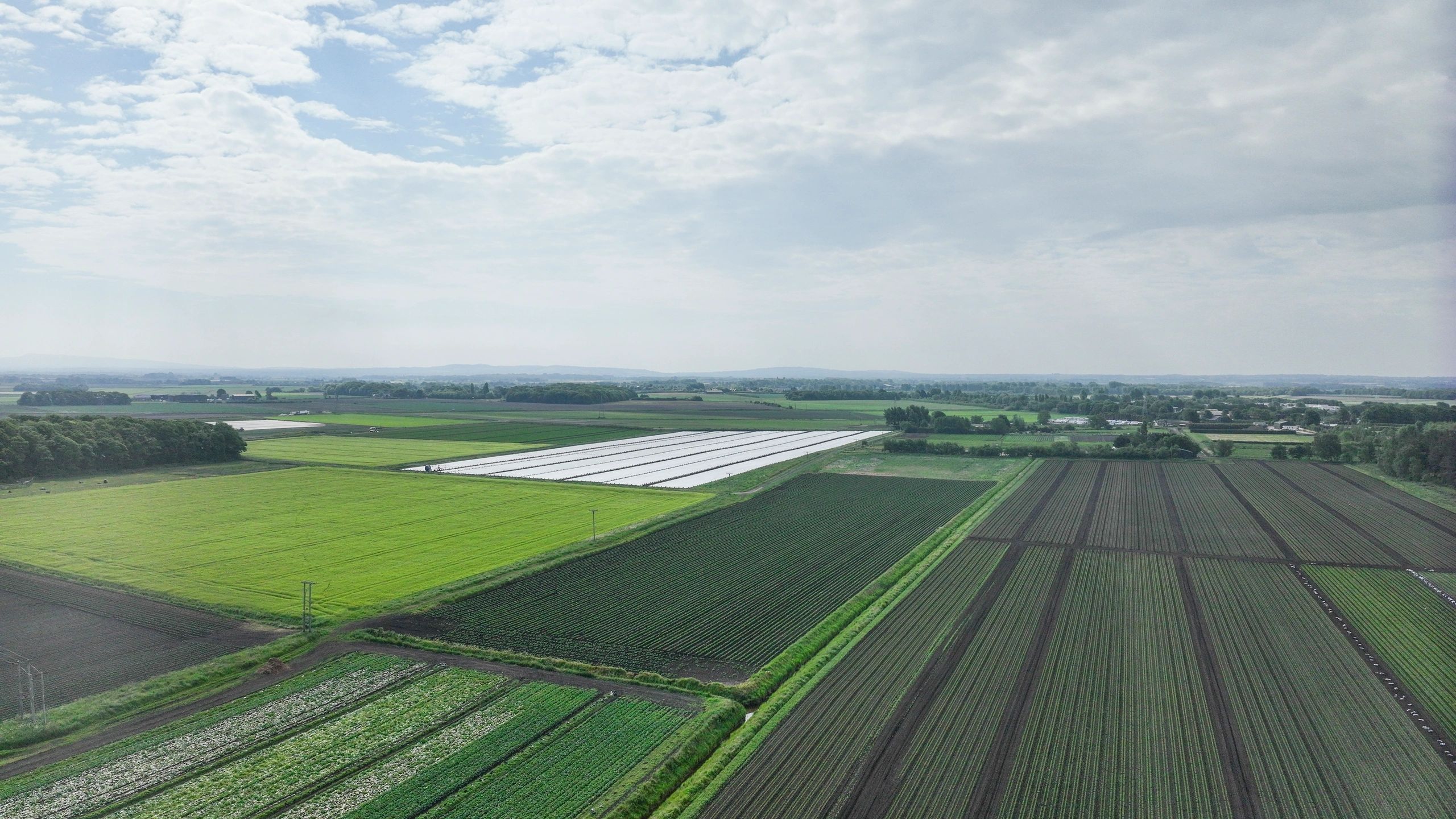 Aerial view of vast farmland with green fields and cloudy sky.