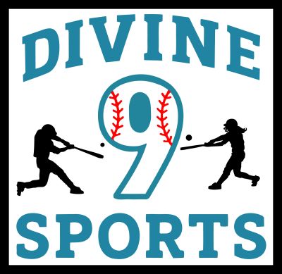 Logo for Divine 90 Sports with a baseball theme.