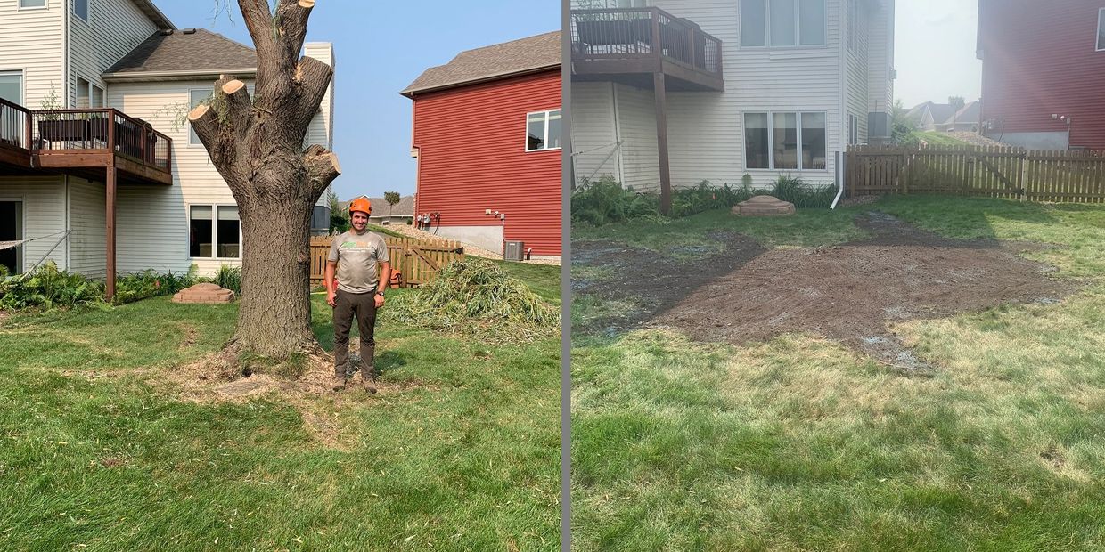 A yard in Rochester, MN, before and after stump grinding