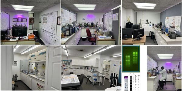 Collage image of so many rooms inside a house