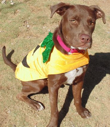 Buford (m) gets along great with kids.