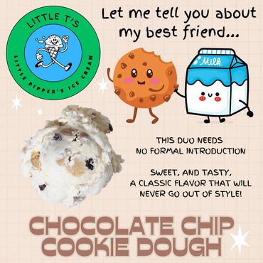 Chocolate Chip Cookie Dough Ice Cream tastes so good!