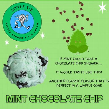 Mint Chocolate Chip Ice Cream