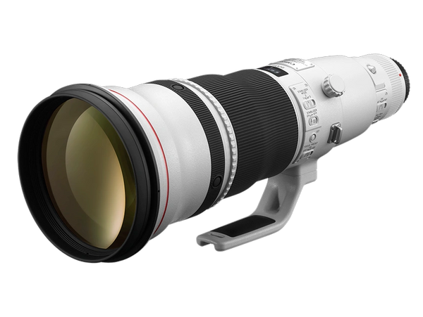 Canon Nikon Sony Olympus
Try Trial Loan Equipment
Lens Macro Telephoto Zoom 600mm f/2.8 f/4 EF RF