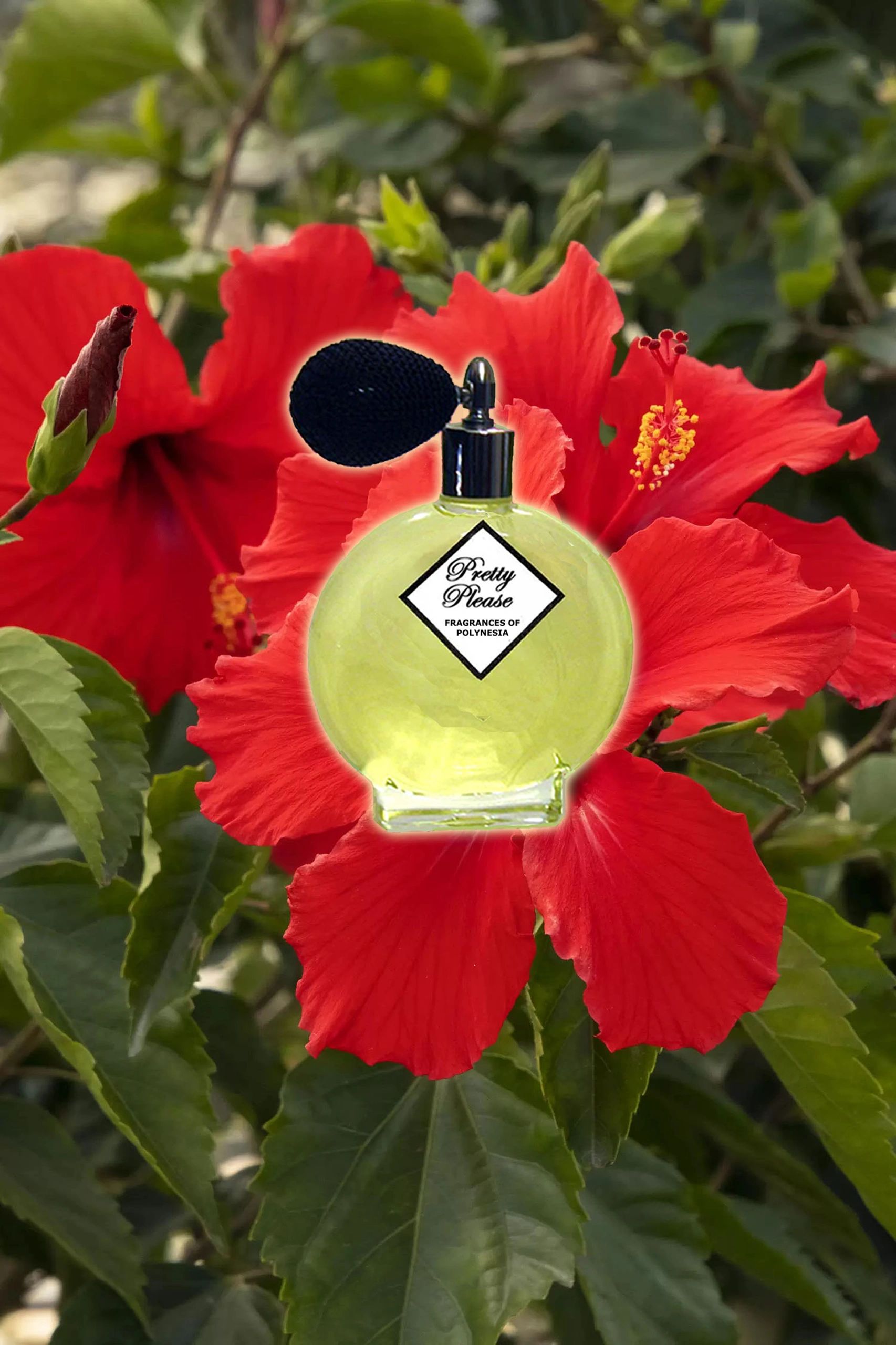 Pretty Please Perfume by Fragrances of Polynesia
