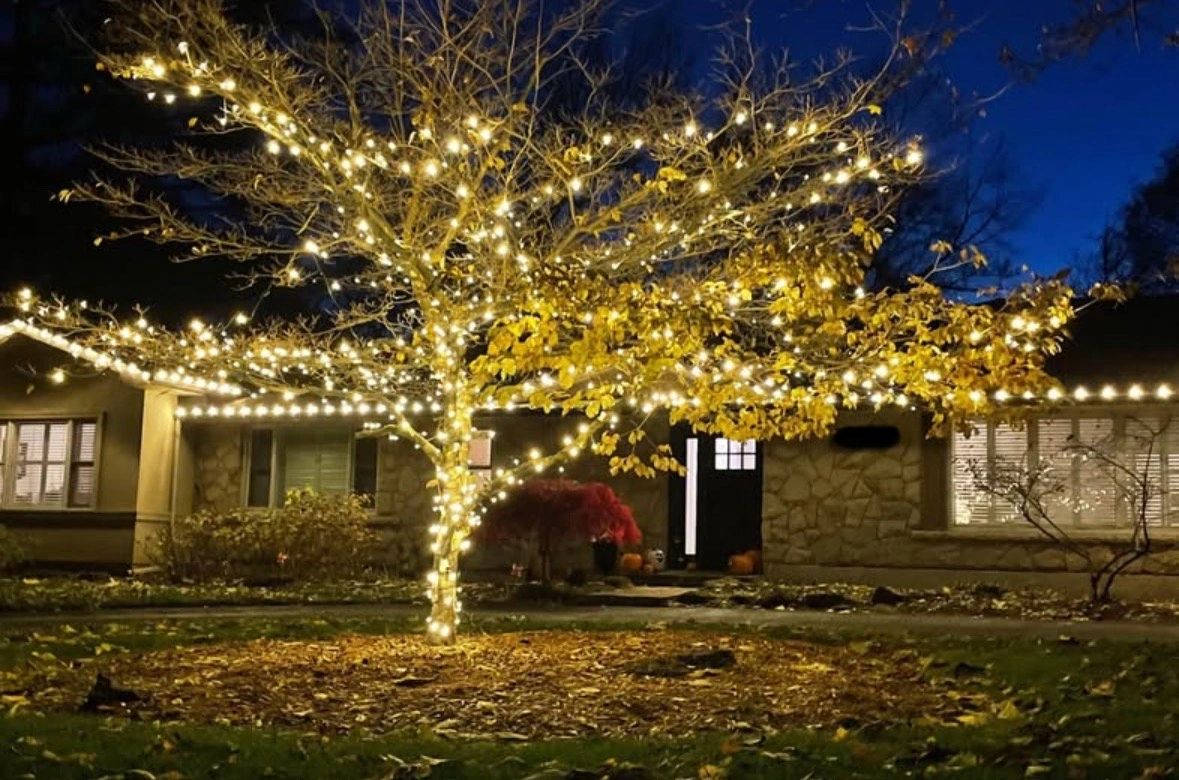 A tree wrapped in glowing string lights in front of a house at night.