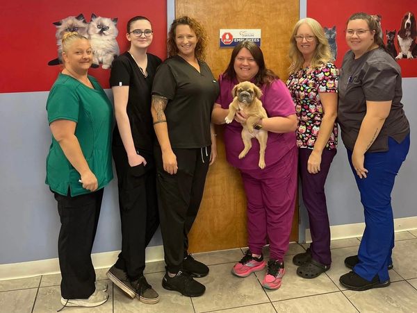 A serene landscape featuring mountains, a lake, and a clear blue sky.