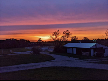 Horse barn and riding arena