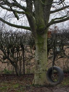 Tyre tree swing in the outdoor area at Unicorn Nursery Maesbury.