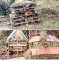 images showing our new bug house using material donated by the local community