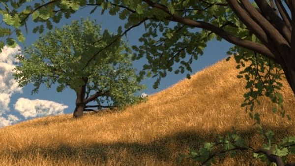 Using Autodesk Maya experimenting creating grass with spline primitives