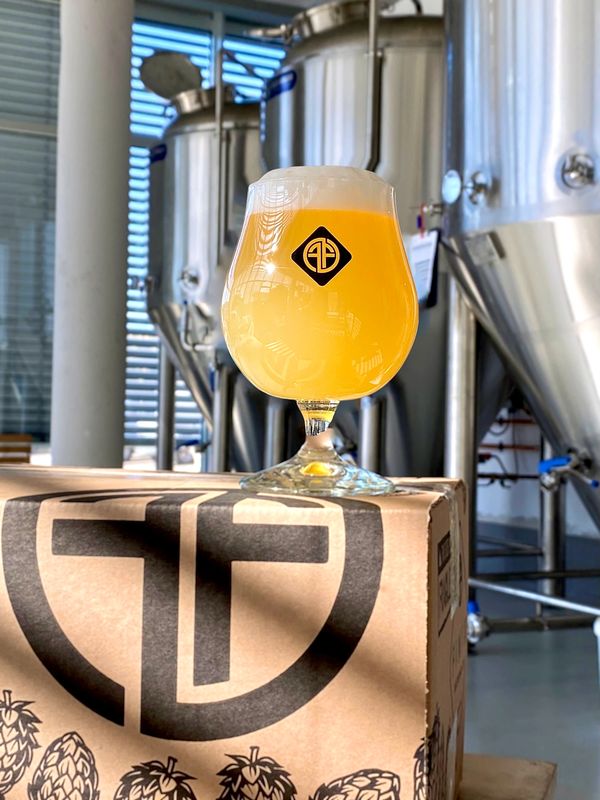 Theory (American Pale Ale)