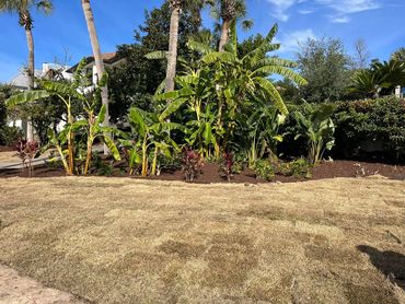 Bass Building and Outdoor Services Lawn Maintenance & Landscaping