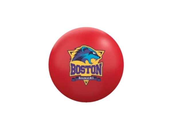 Full Color Stress Ball