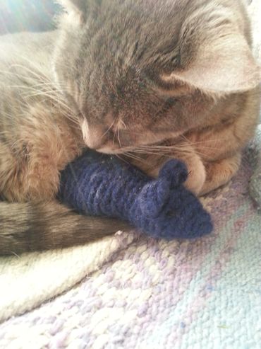 Cleo II with a Nori's Mouse cat toy