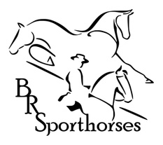 Breanna Rene Sporthorses