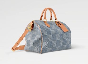 Louis Vuitton Speedy 25 bag in original dust bag.