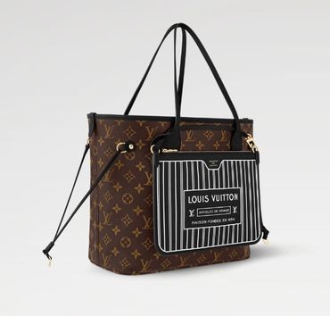 Louis Vuitton Pochette Accessoires in protective dust bag.