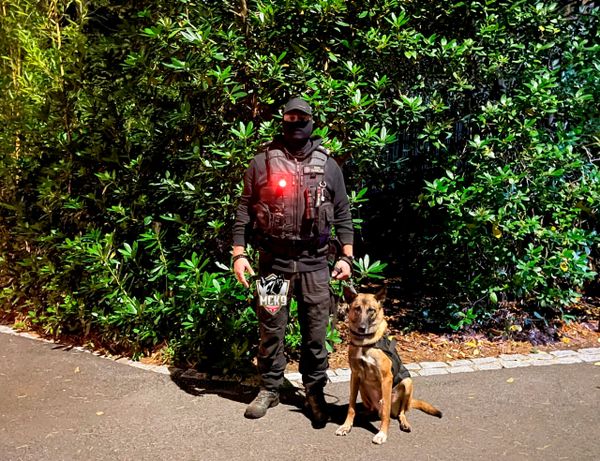 Bodyguard with a protection dog next to him 