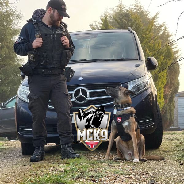 Protection dog and owner with Mercedes 
