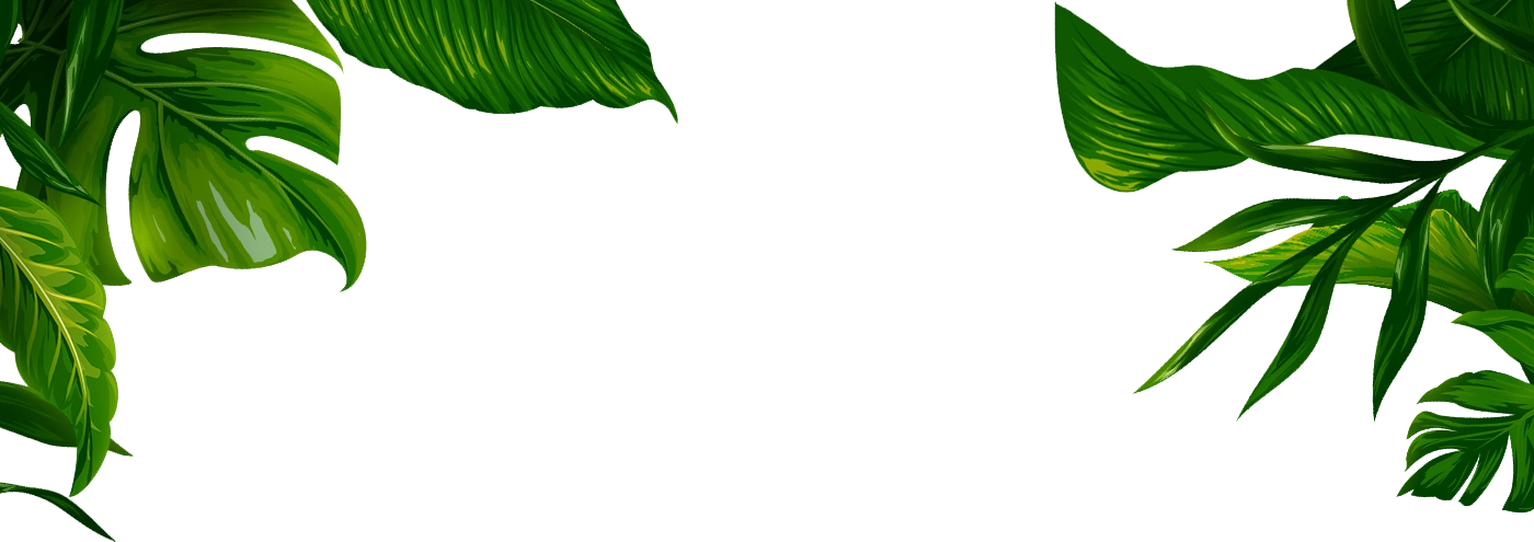 image2871