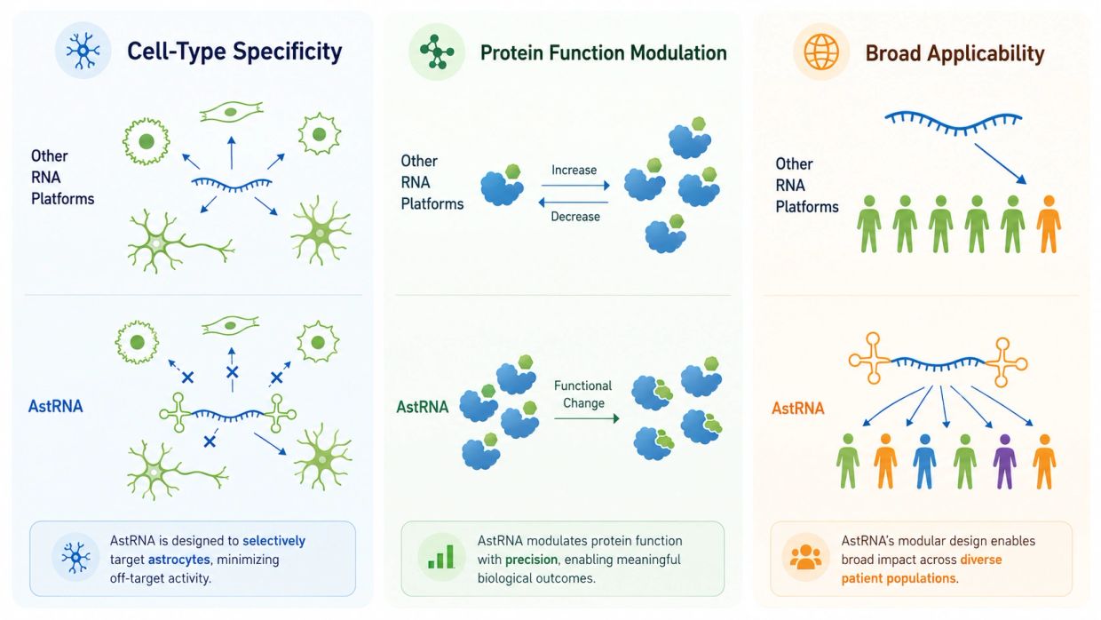 AstRNA targets astrocytes with precision and broad impact.
