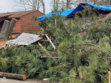Tree knocked down after storm