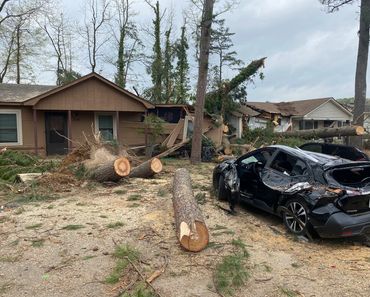 Trees and house damage after tornado