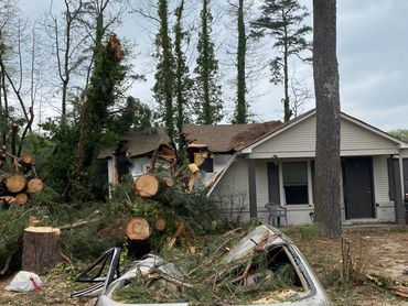 Tree cut house in half