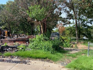 Tree Next to Burned House