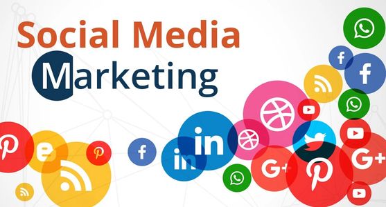 We provide you with the training to advertise your business in every Social Media