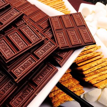 Hershey chocolate smores bar catering caterer fire pit st louis cocktail hour wedding reception