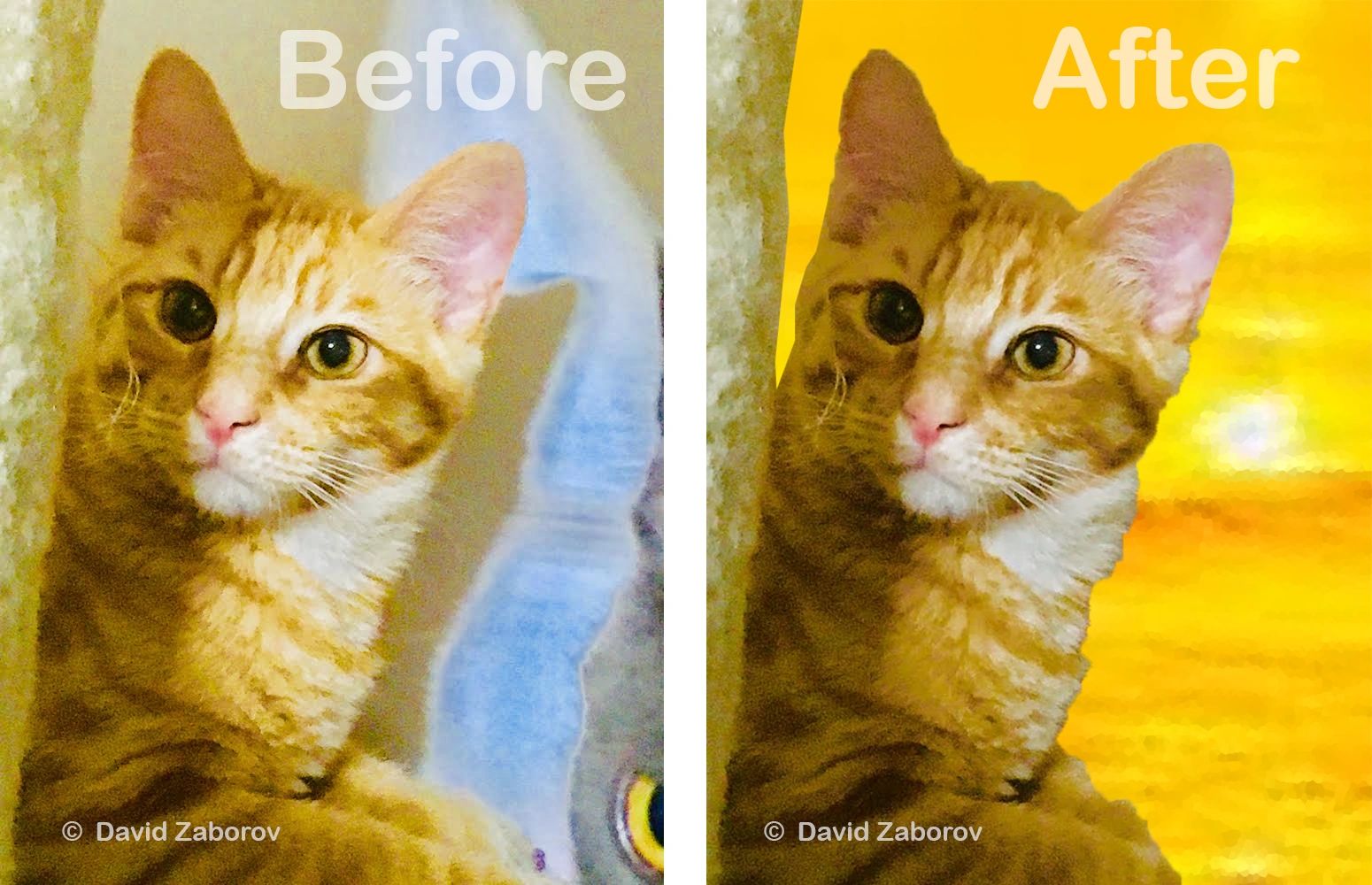 We can fix fix bad lighting, composition, and more.