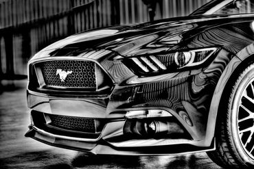 Ford Mustang GT Black and White