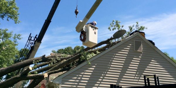taking tree off roof of house with a crane in Richmond Va