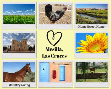 Real estate in Mesilla