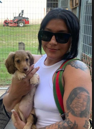 Dachshund Puppies