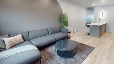Modern living room with gray sofa and round coffee table.