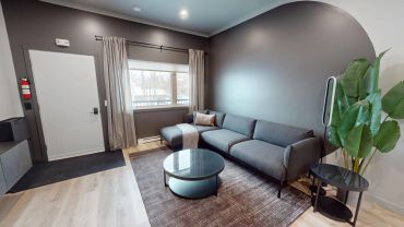 Modern living room with gray sofa and green plants.