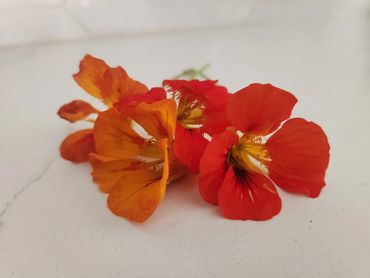Organic home grown nasturtiums