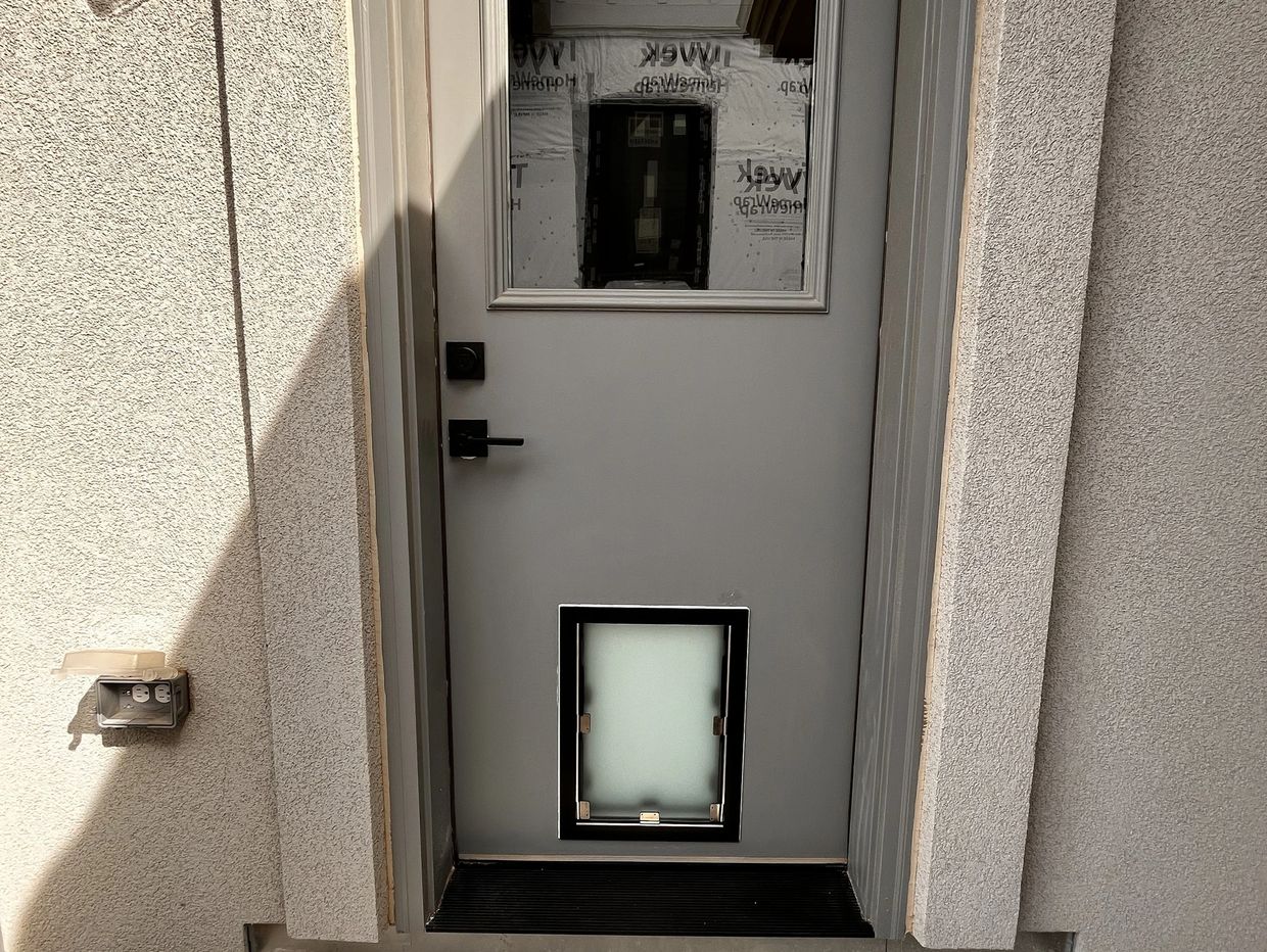 Black framed Hale pet door installed through a fiberglass door in Littleton