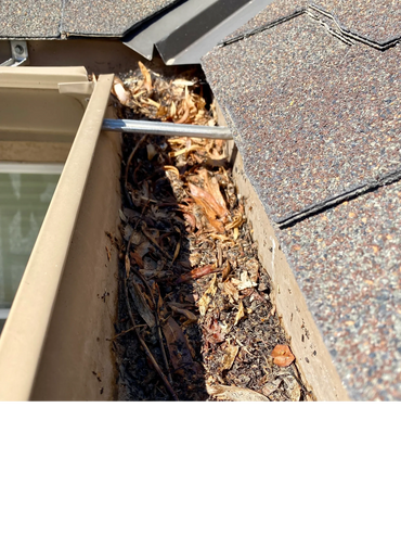 Example of why gutters need cleaning