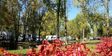 RVs in a semi wooded setting behind a small, peaceful canal with bright red and green foliage in the foreground