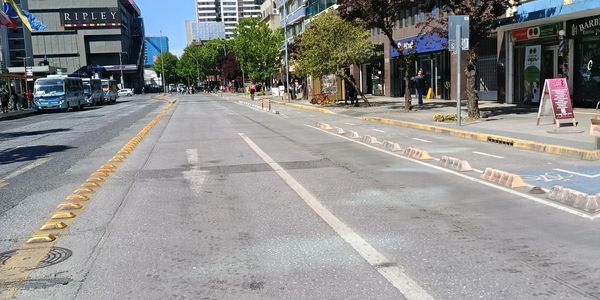 Empty urban street with bike lanes and trees lining the sidewalk.
