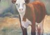 "Lone Cow" Oil on Canvas (sold) Card Available